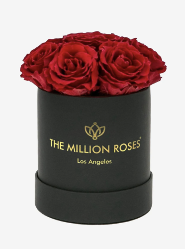 Roses from The Million Roses